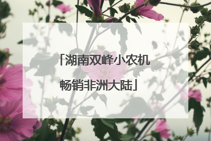 湖南双峰小农机畅销非洲大陆