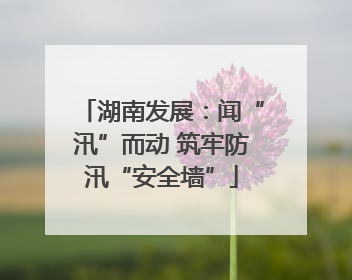 湖南发展：闻“汛”而动 筑牢防汛“安全墙”