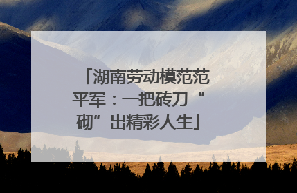湖南劳动模范范平军：一把砖刀“砌”出精彩人生
