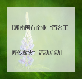 湖南国有企业“百名工匠传薪火”活动启动
