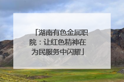 湖南有色金属职院：让红色精神在为民服务中闪耀
