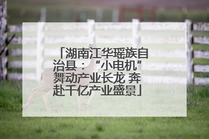 湖南江华瑶族自治县：“小电机”舞动产业长龙 奔赴千亿产业盛景
