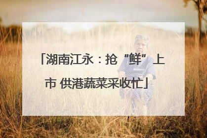 湖南江永：抢“鲜”上市 供港蔬菜采收忙