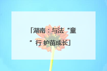 湖南：与法“童”行 护苗成长