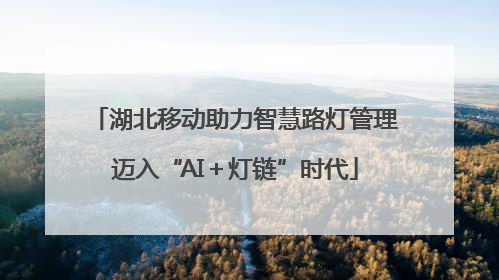 湖北移动助力智慧路灯管理迈入“AI＋灯链”时代