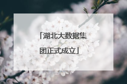 湖北大数据集团正式成立