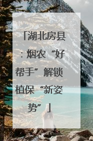 湖北房县：烟农“好帮手”解锁植保“新姿势”