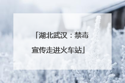 湖北武汉：禁毒宣传走进火车站