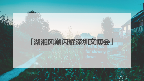 湖湘风潮闪耀深圳文博会
