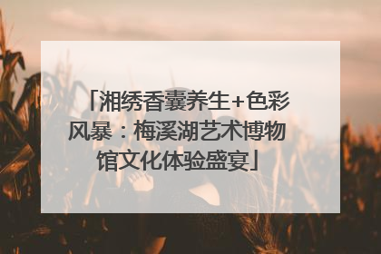 湘绣香囊养生+色彩风暴：梅溪湖艺术博物馆文化体验盛宴