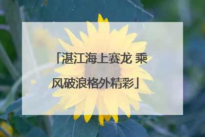湛江海上赛龙 乘风破浪格外精彩