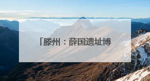 滕州:薛国遗址博物馆文物征集公告