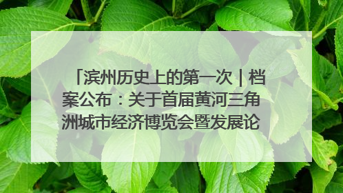 滨州历史上的第一次｜档案公布：关于首届黄河三角洲城市经济博览会暨发展论坛情况的总结报告