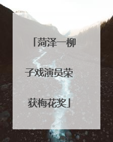 菏泽一柳子戏演员荣获梅花奖