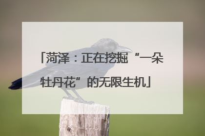 菏泽：正在挖掘“一朵牡丹花”的无限生机