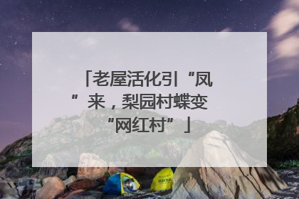 老屋活化引“凤”来，梨园村蝶变“网红村”