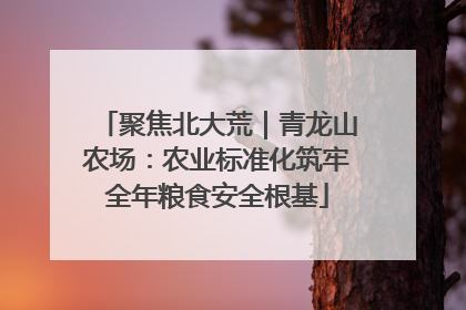 聚焦北大荒｜青龙山农场：农业标准化筑牢全年粮食安全根基