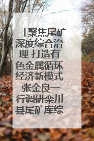 聚焦尾矿深度综合治理 打造有色金属循环经济新模式 张金良一行调研栾川县尾矿库综合治理工作