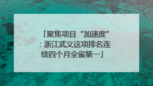 聚焦项目“加速度”：浙江武义这项排名连续四个月全省第一
