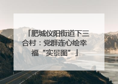 肥城仪阳街道下三合村：党群连心绘幸福“实景图”