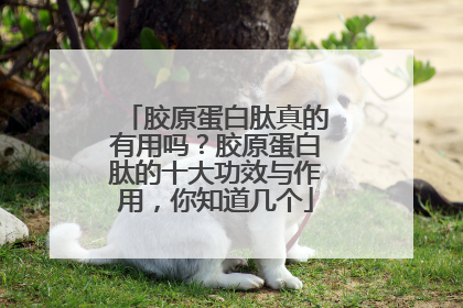 胶原蛋白肽真的有用吗？胶原蛋白肽的十大功效与作用，你知道几个