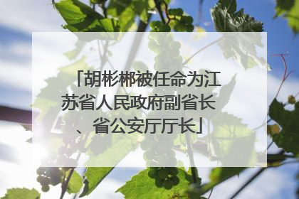 胡彬郴被任命为江苏省人民政府副省长、省公安厅厅长