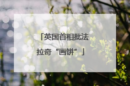 英国首相批法拉奇“画饼”