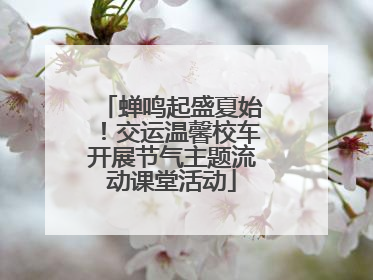 蝉鸣起盛夏始！交运温馨校车开展节气主题流动课堂活动