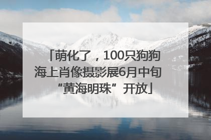 萌化了，100只狗狗海上肖像摄影展6月中旬“黄海明珠”开放