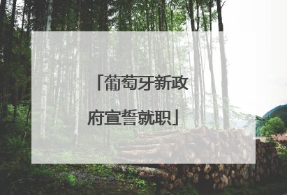 葡萄牙新政府宣誓就职