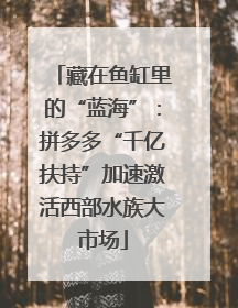 藏在鱼缸里的“蓝海”：拼多多“千亿扶持”加速激活西部水族大市场