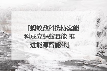 蚂蚁数科携协鑫能科成立蚂蚁鑫能 推进能源智能化