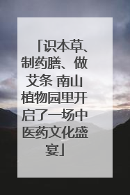 识本草、制药膳、做艾条 南山植物园里开启了一场中医药文化盛宴