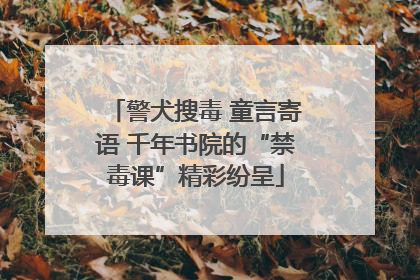 警犬搜毒 童言寄语 千年书院的“禁毒课”精彩纷呈