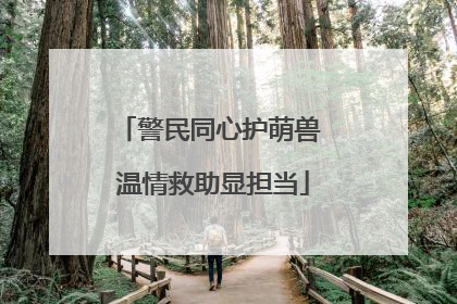 警民同心护萌兽 温情救助显担当