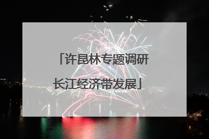 许昆林专题调研长江经济带发展