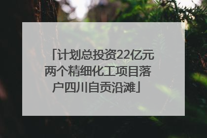 计划总投资22亿元 两个精细化工项目落户四川自贡沿滩
