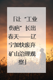 让“工业伤疤”长出春天——辽宁加快废弃矿山治理观察