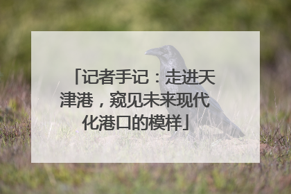 记者手记：走进天津港，窥见未来现代化港口的模样