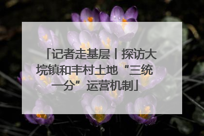 记者走基层丨探访大垸镇和丰村土地“三统一分”运营机制