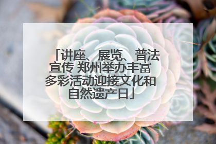 讲座、展览、普法宣传 郑州举办丰富多彩活动迎接文化和自然遗产日