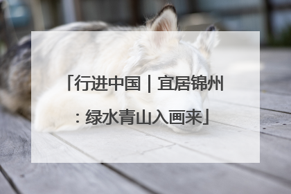 行进中国｜宜居锦州：绿水青山入画来