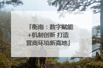 衡南：数字赋能+机制创新 打造营商环境新高地
