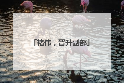褚伟，晋升副部