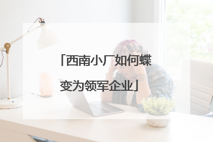 西南小厂如何蝶变为领军企业