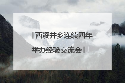 西凌井乡连续四年举办经验交流会