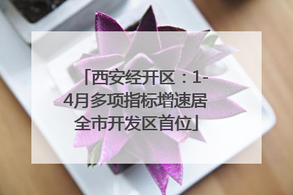 西安经开区：1-4月多项指标增速居全市开发区首位