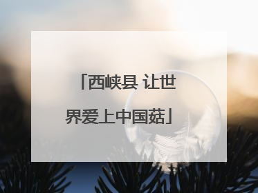 西峡县 让世界爱上中国菇
