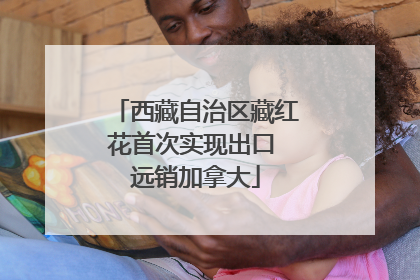 西藏自治区藏红花首次实现出口 远销加拿大