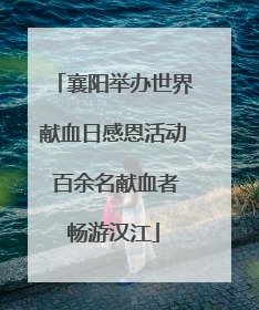 襄阳举办世界献血日感恩活动 百余名献血者畅游汉江